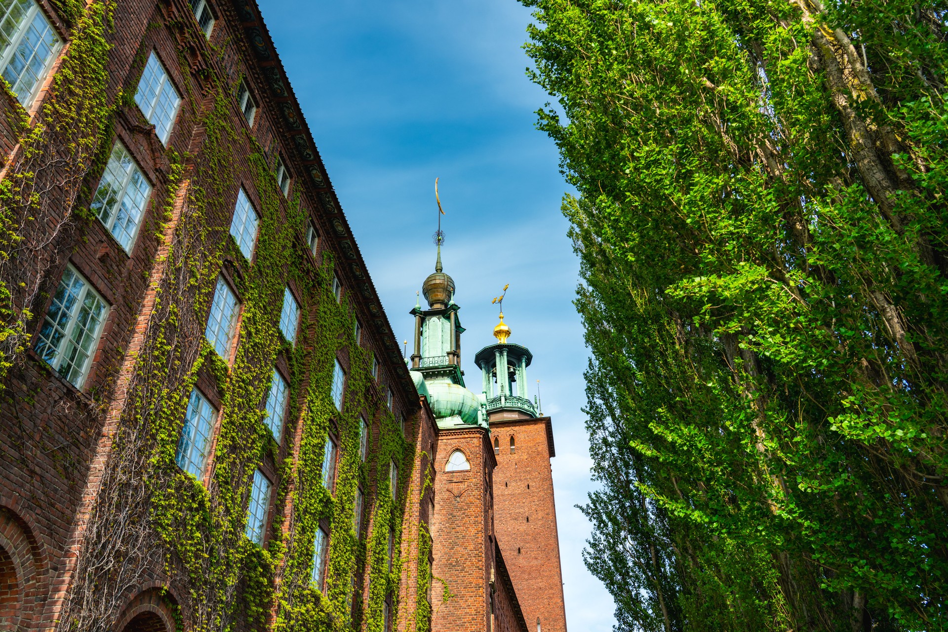 Stockholm city hall architecture with climbing ivy