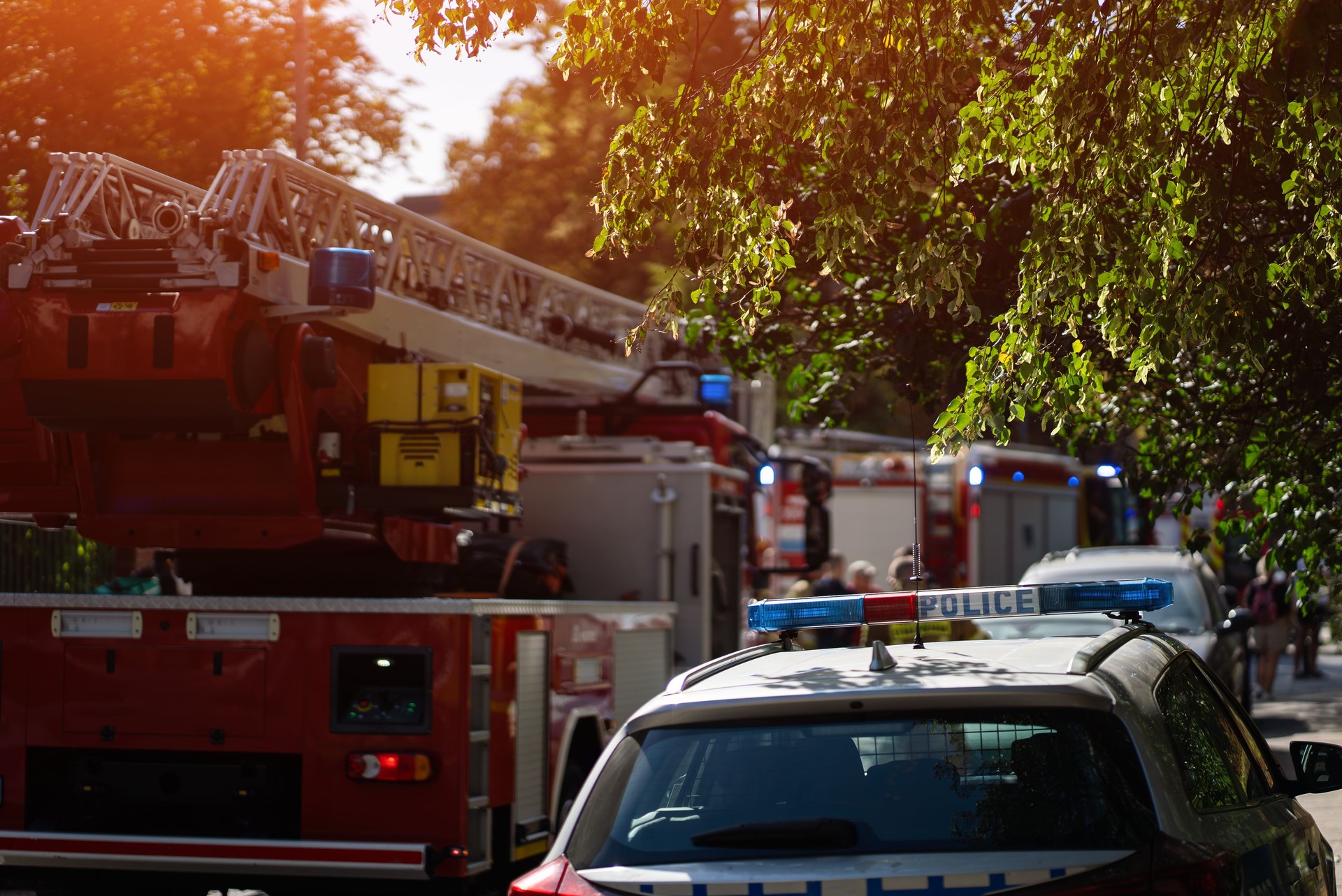 Public Safety and Emergency Services